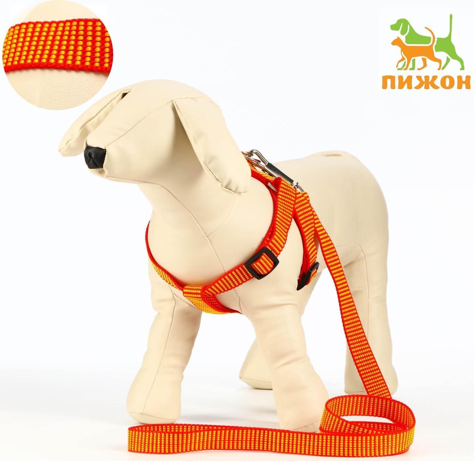 Комплект амуниции рельефный, 2 см, шлейка 44-50 см, поводок 120 см,красно-жёлтый