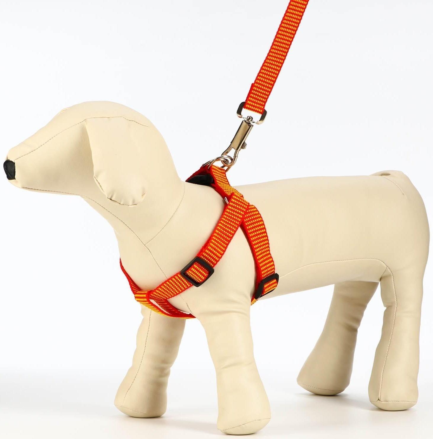 Комплект амуниции рельефный, 2 см, шлейка 44-50 см, поводок 120 см,красно-жёлтый