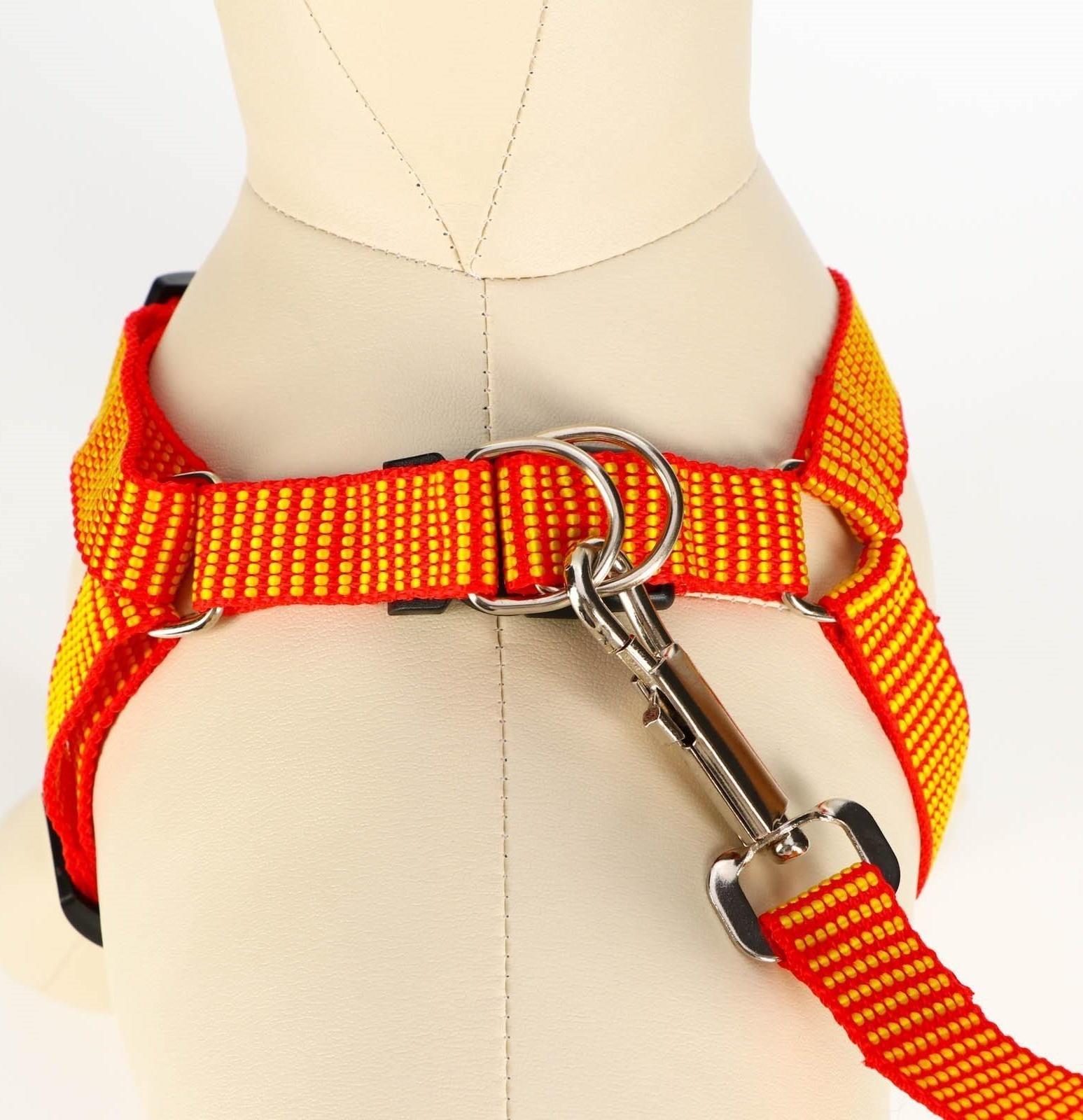 Комплект амуниции рельефный, 2 см, шлейка 44-50 см, поводок 120 см,красно-жёлтый