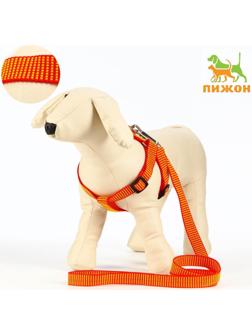 Комплект амуниции рельефный, 2 см, шлейка 44-50 см, поводок 120 см,красно-жёлтый