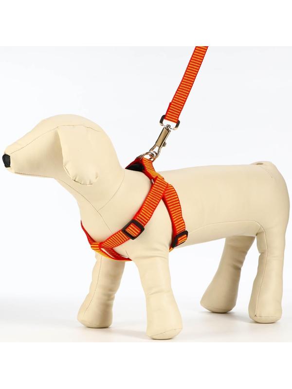 Комплект амуниции рельефный, 2 см, шлейка 44-50 см, поводок 120 см,красно-жёлтый