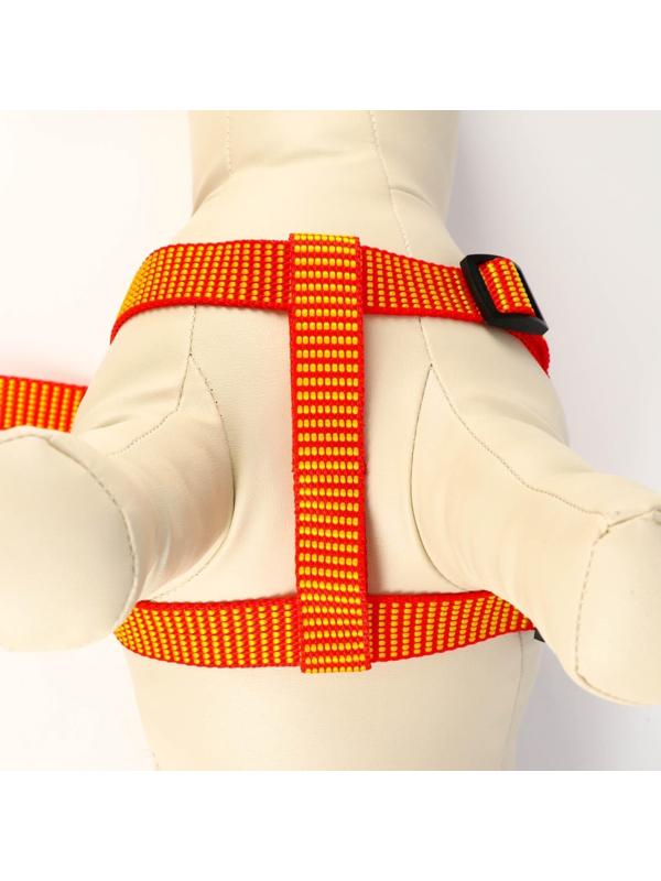 Комплект амуниции рельефный, 2 см, шлейка 44-50 см, поводок 120 см,красно-жёлтый