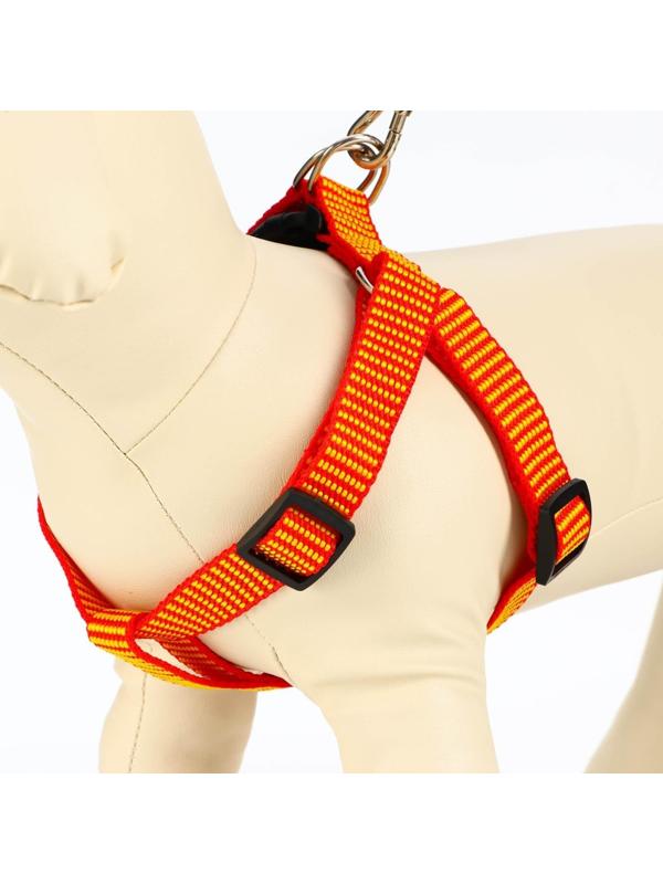 Комплект амуниции рельефный, 2 см, шлейка 44-50 см, поводок 120 см,красно-жёлтый