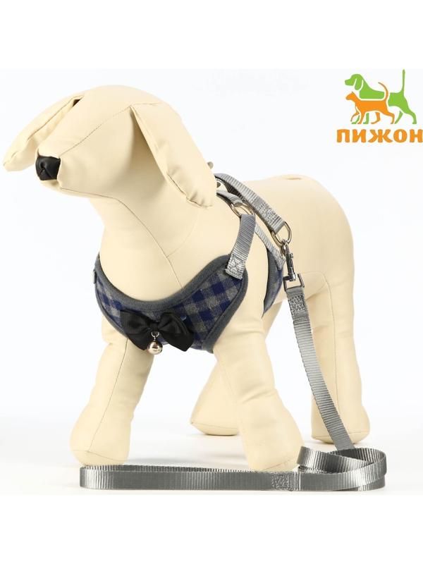 Комплект амуниции с мягкой шлейкой,L (ОШ 30-50, ОГ 36-56 см; 120х1,5 см) серый