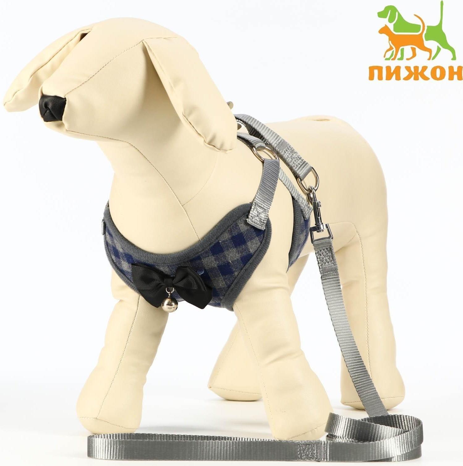 Комплект амуниции с мягкой шлейкой, S, (ОШ 20-40, ОГ 30-44 см; 120х1 см) серый