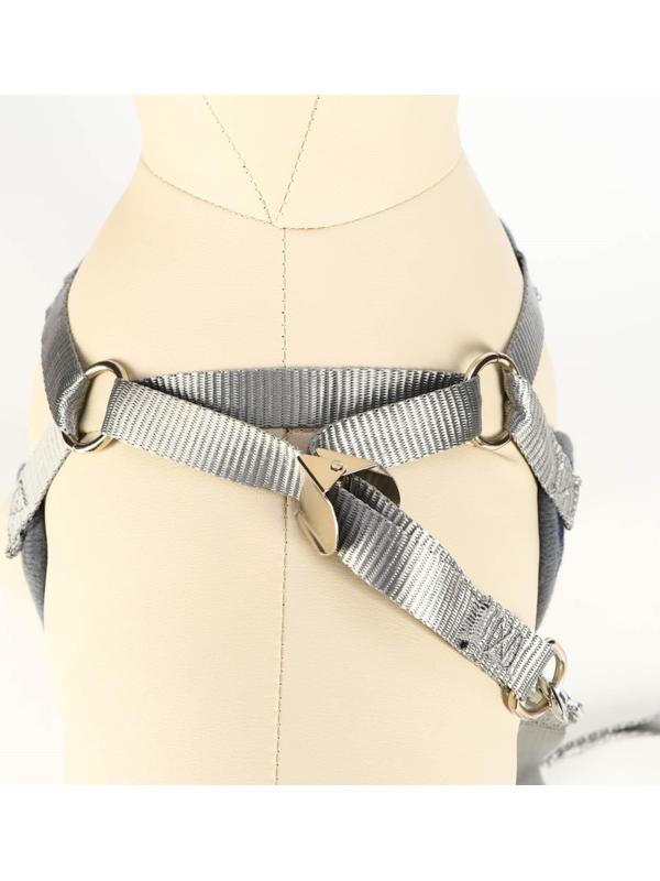 Комплект амуниции с мягкой шлейкой, S, (ОШ 20-40, ОГ 30-44 см; 120х1 см) серый