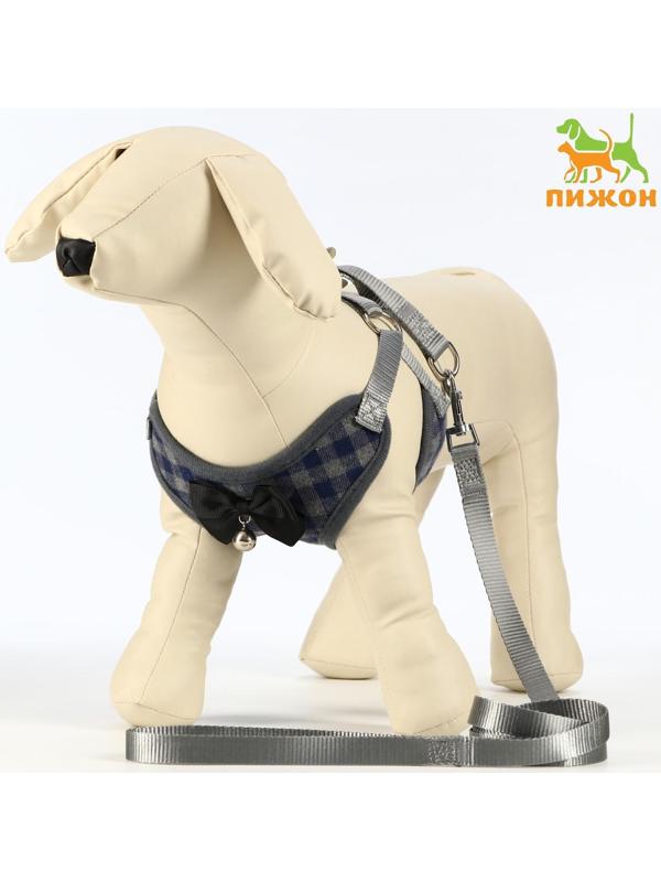 Комплект амуниции с мягкой шлейкой, XL (ОШ 38-52, ОГ 42-60 см;120 х 1,5 см) серый