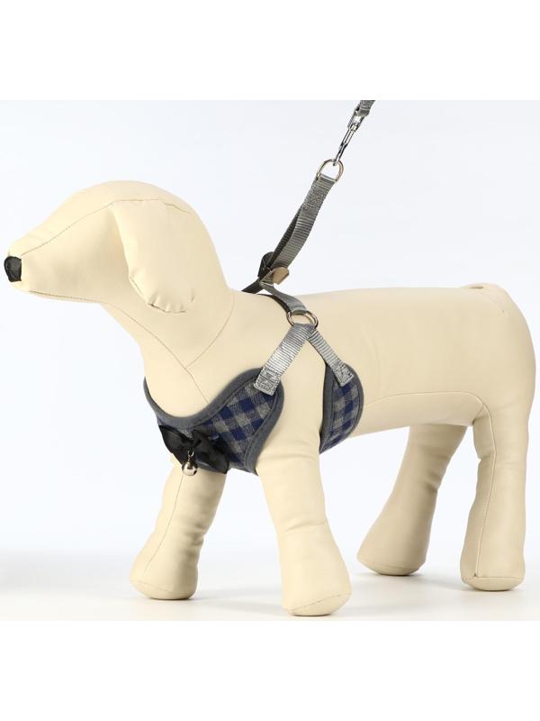 Комплект амуниции с мягкой шлейкой, XL (ОШ 38-52, ОГ 42-60 см;120 х 1,5 см) серый