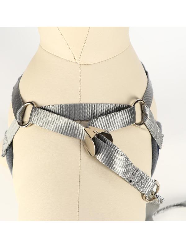 Комплект амуниции с мягкой шлейкой, XL (ОШ 38-52, ОГ 42-60 см;120 х 1,5 см) серый