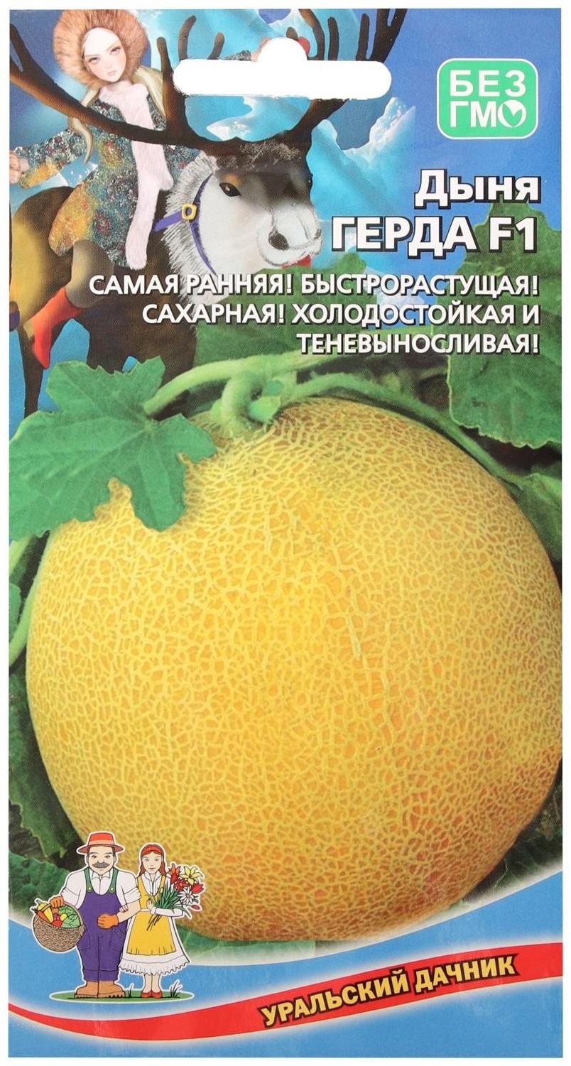 Семена Дыня 