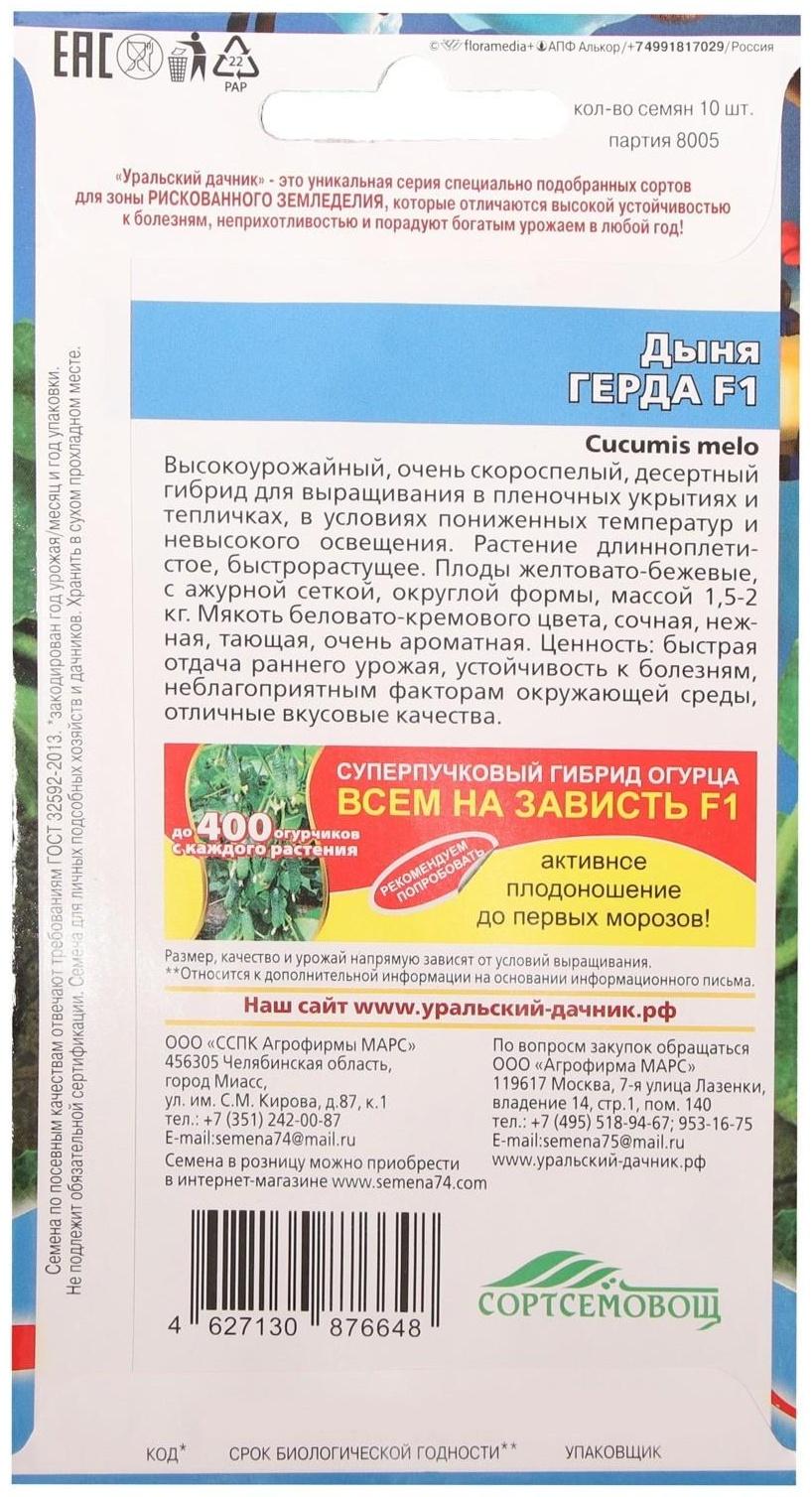 Семена Дыня 