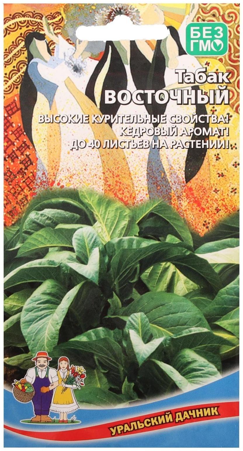 Семена Табак 