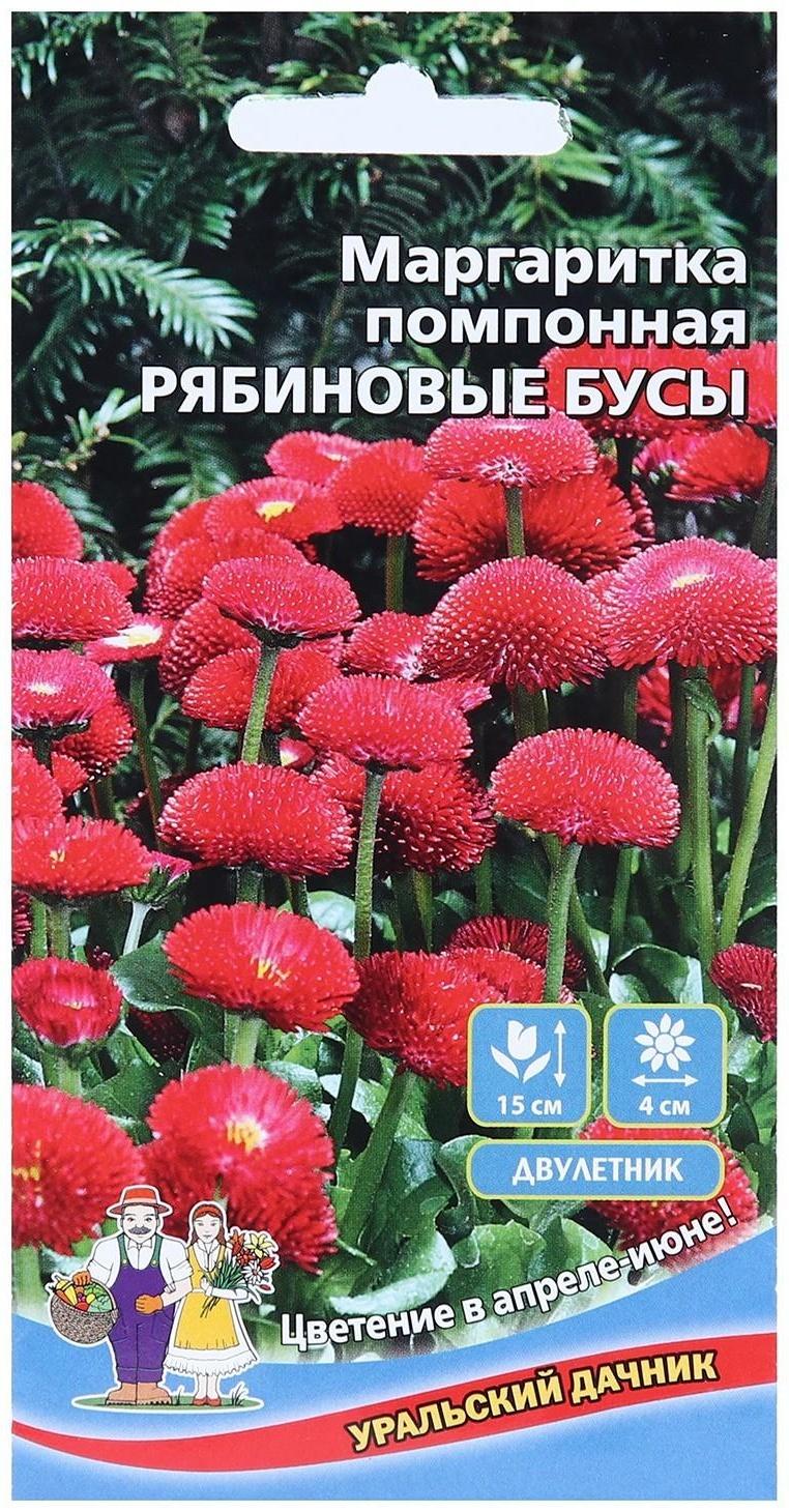 Семена цветов Маргаритка 