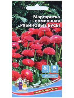 Семена цветов Маргаритка 