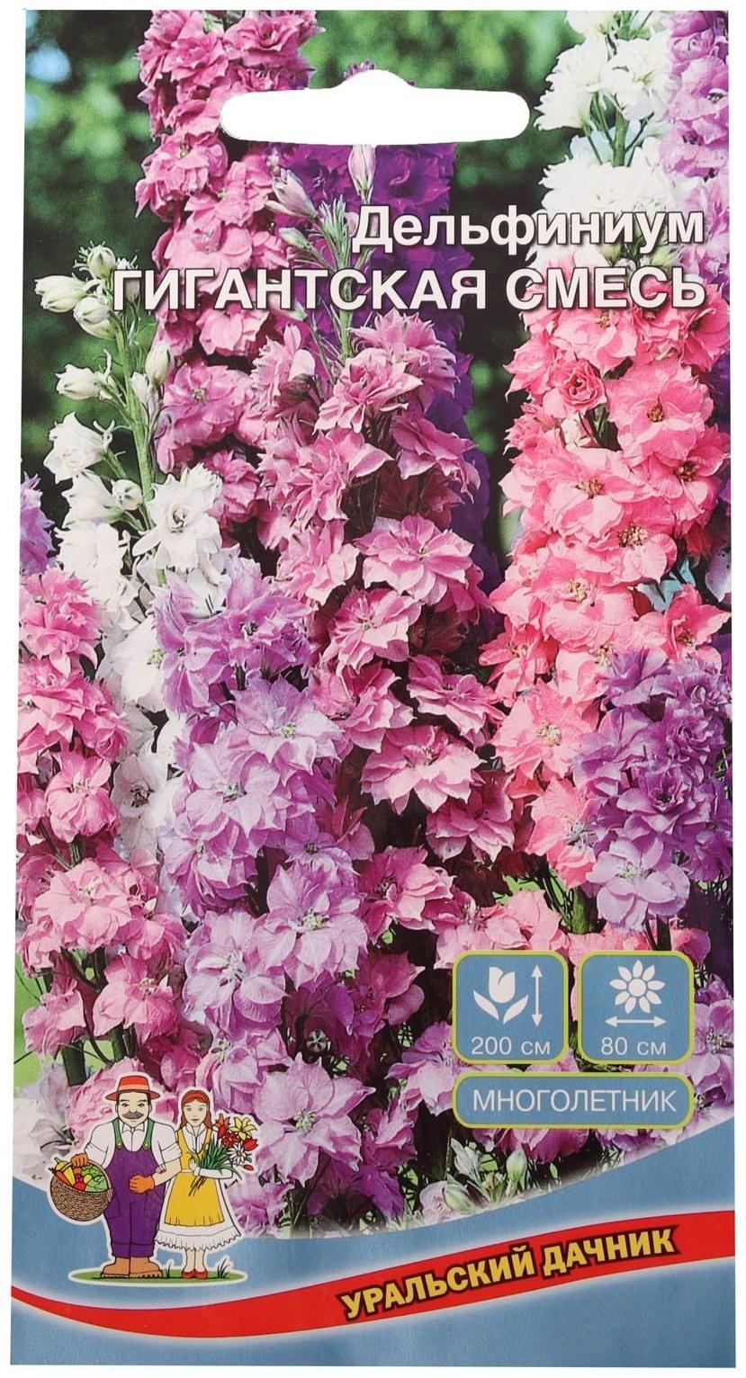 Семена цветов Дельфиниум 