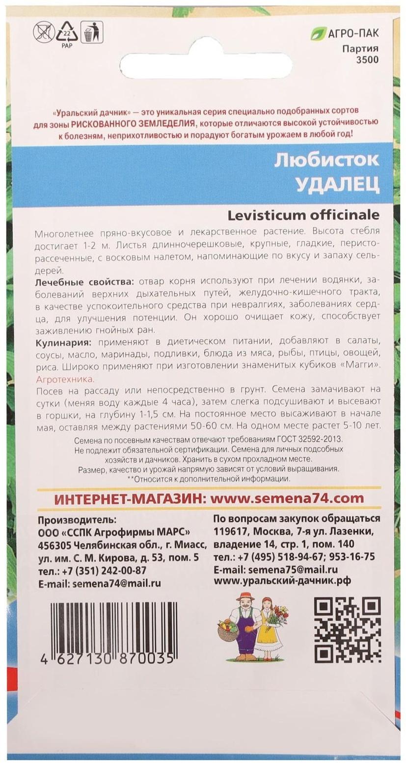 Семена Любисток 