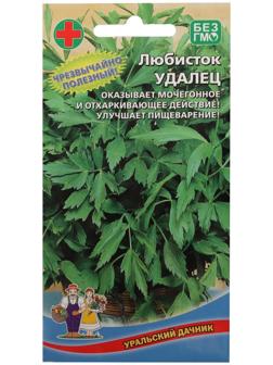 Семена Любисток 