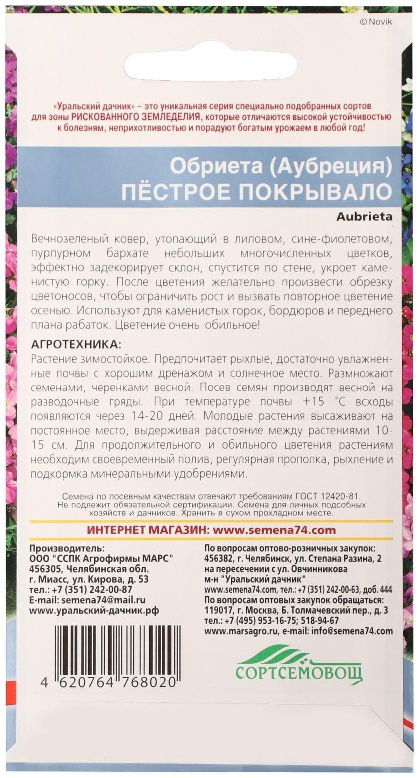 Семена цветов Обриета 