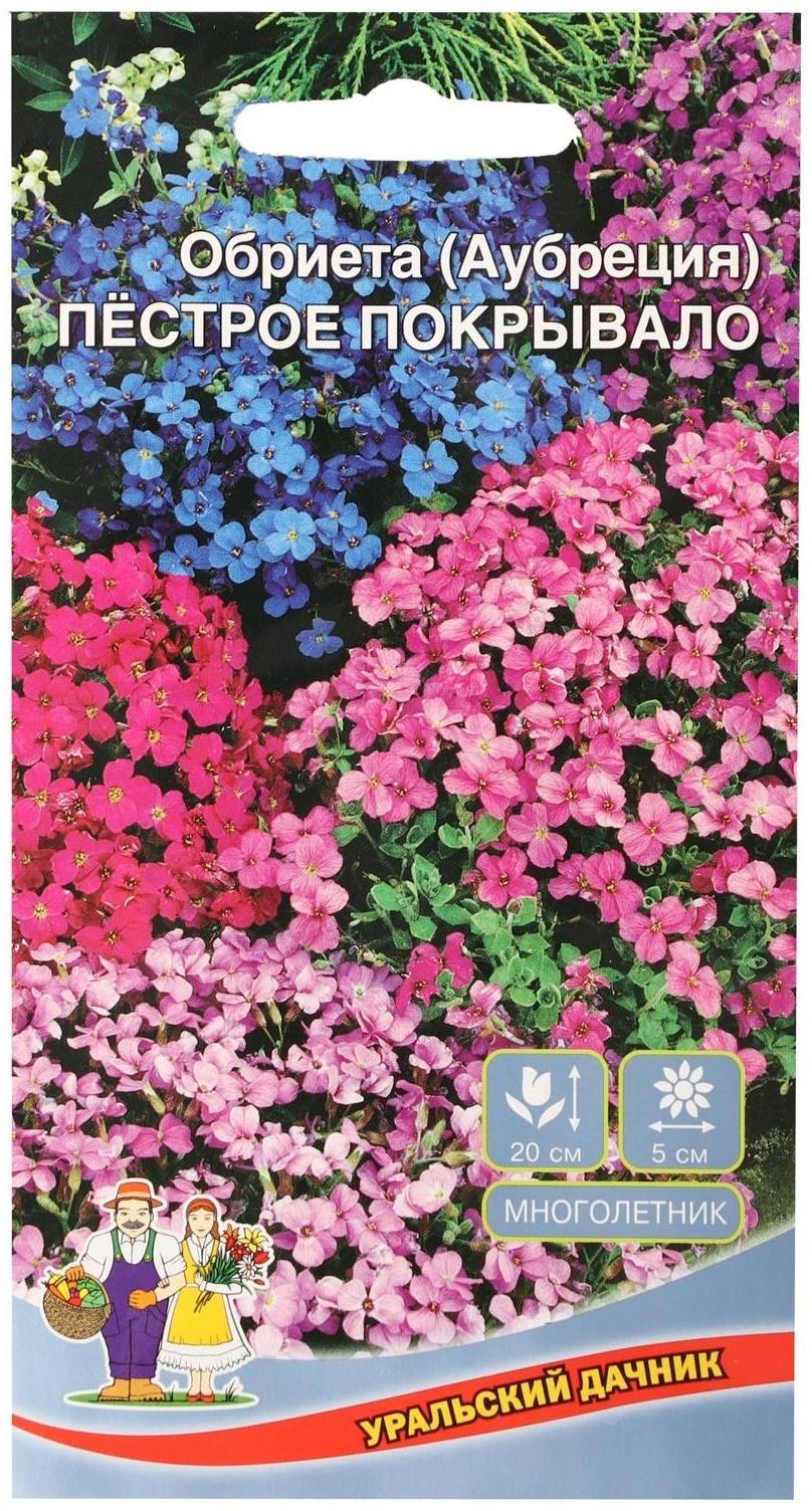 Семена цветов Обриета 