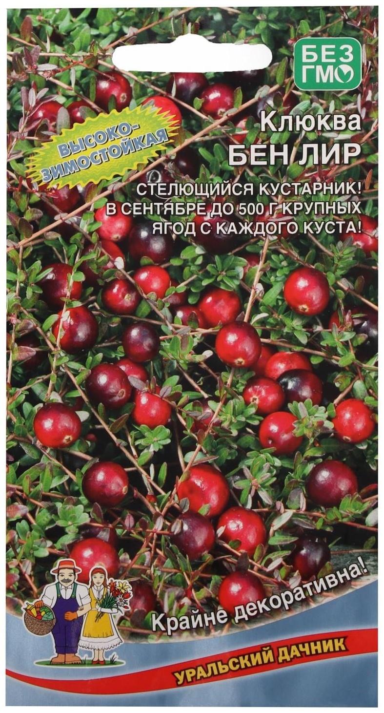 Семена Клюква 