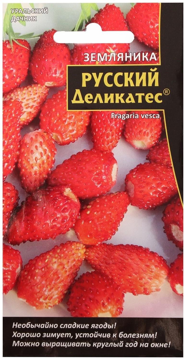 Семена Земляника 