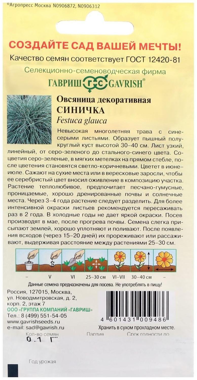 Семена цветов Овсяница 