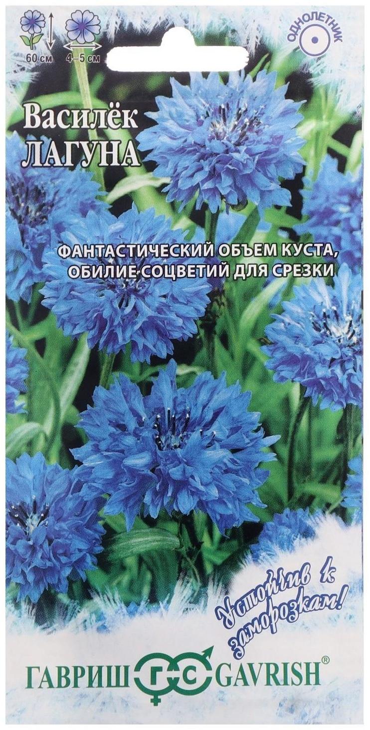 Семена цветов Василек 