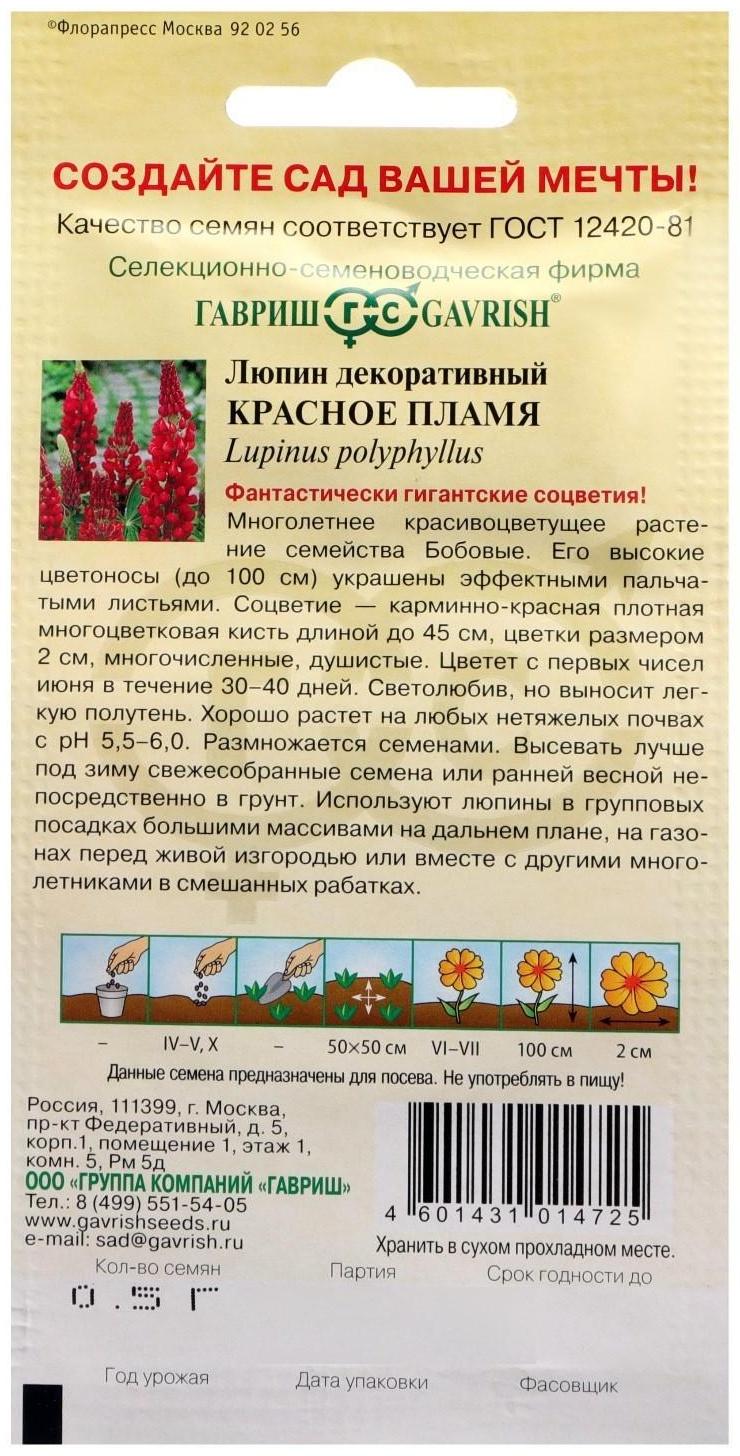 Семена цветов Люпин 