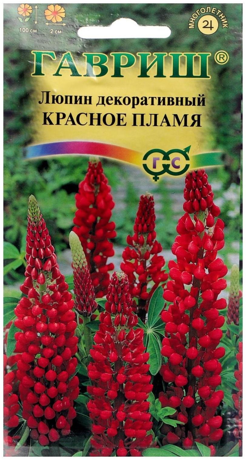 Семена цветов Люпин 