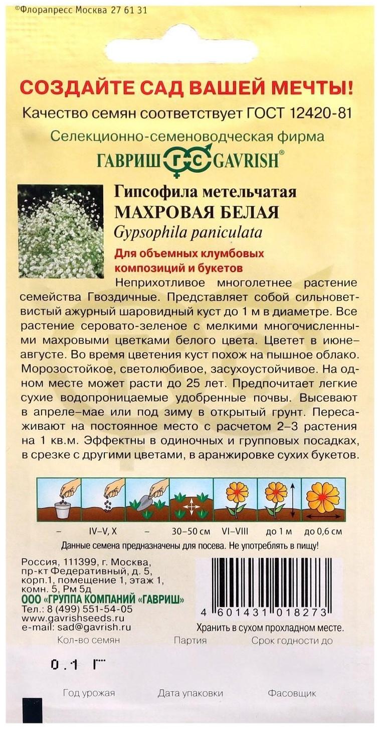 Семена цветов Гипсофила 