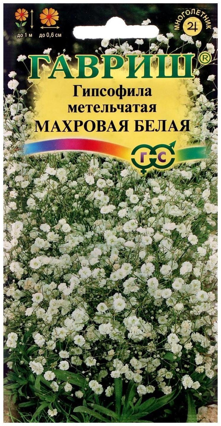 Семена цветов Гипсофила 