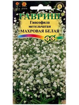 Семена цветов Гипсофила 