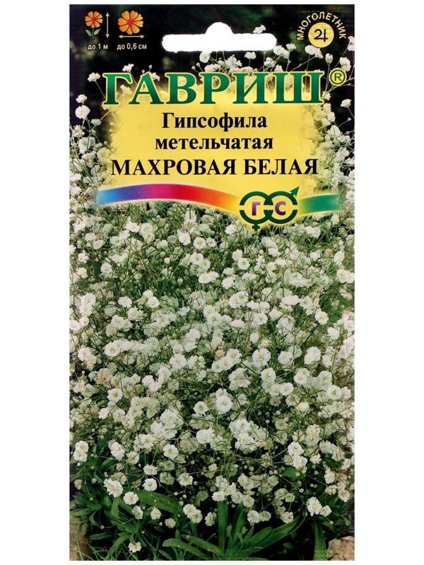 Семена цветов Гипсофила 