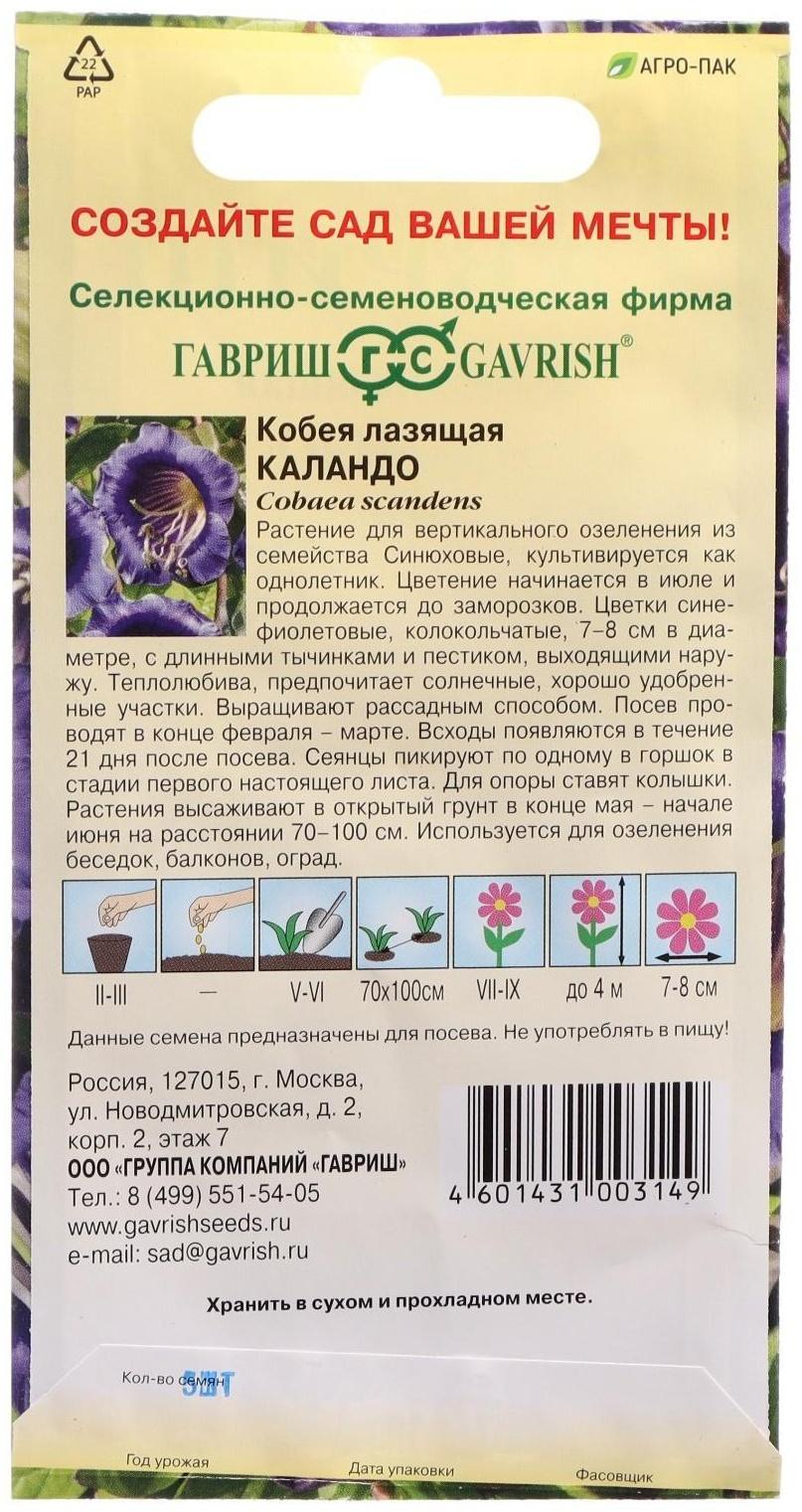 Семена цветов Кобея 