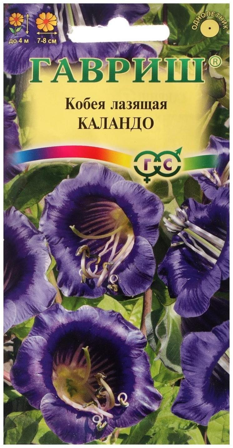 Семена цветов Кобея 