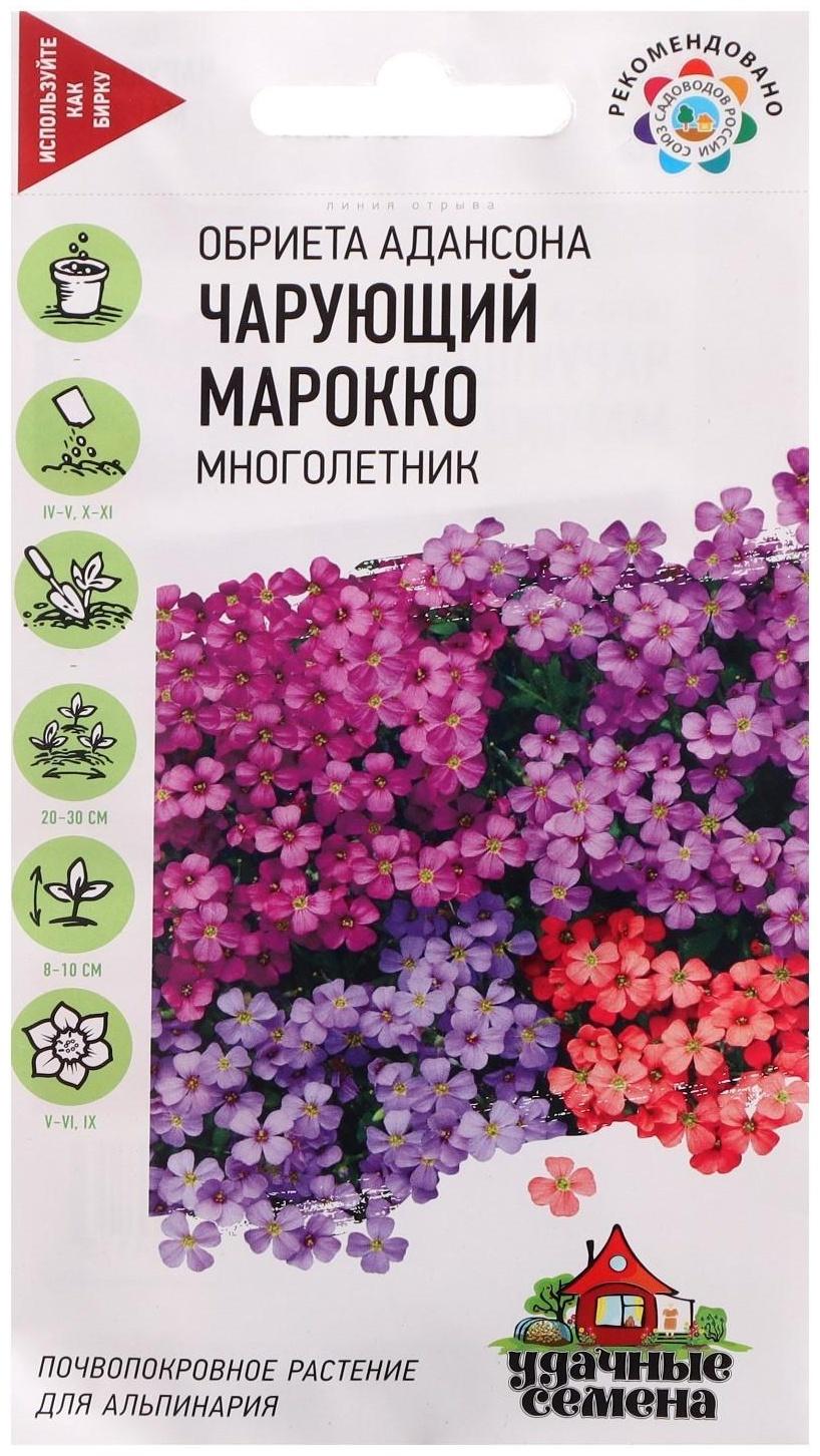 Семена цветов Обриета 