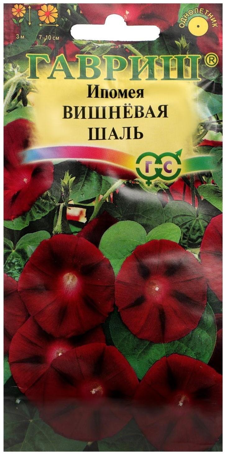 Семена цветов Ипомея 