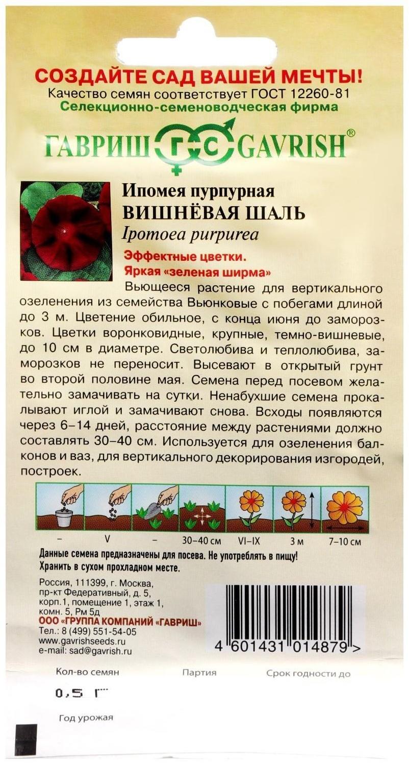 Семена цветов Ипомея 