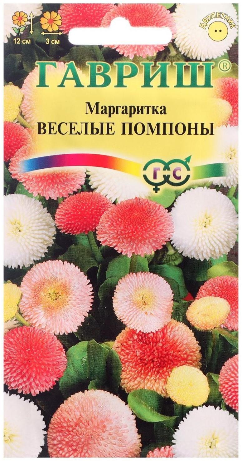 Семена цветов Маргаритка 