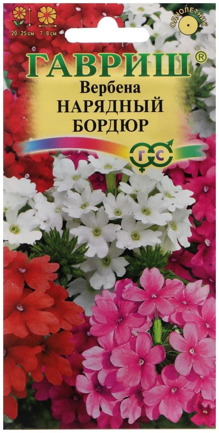 Семена цветов Вербена гибридная 