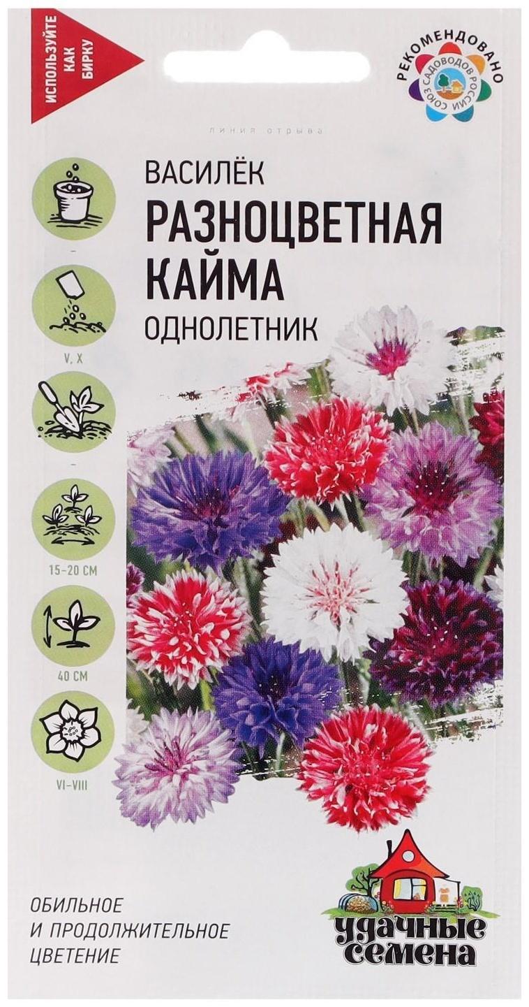 Семена цветов Василек 