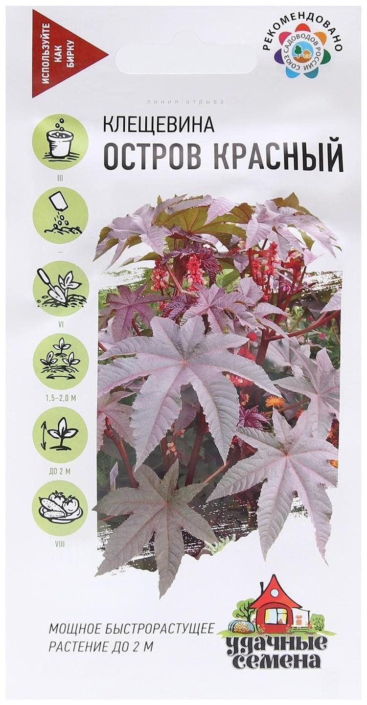 Семена цветов Клещевина 