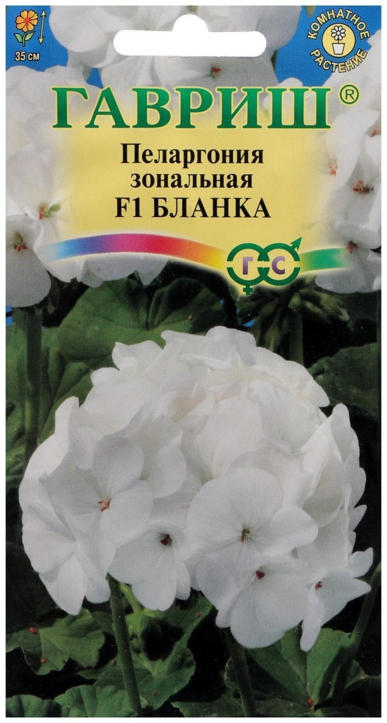 Семена цветов Пеларгония 