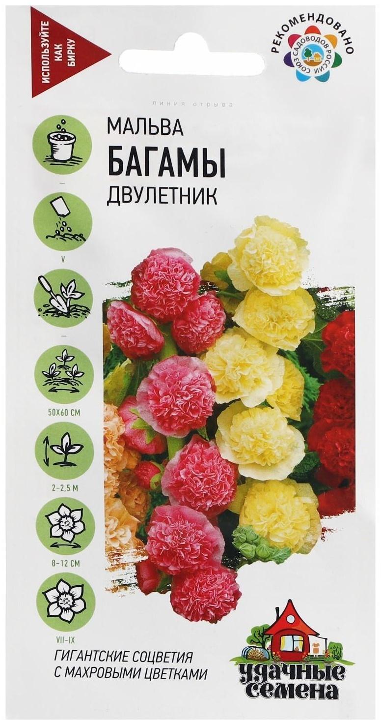 Семена цветов Мальва 