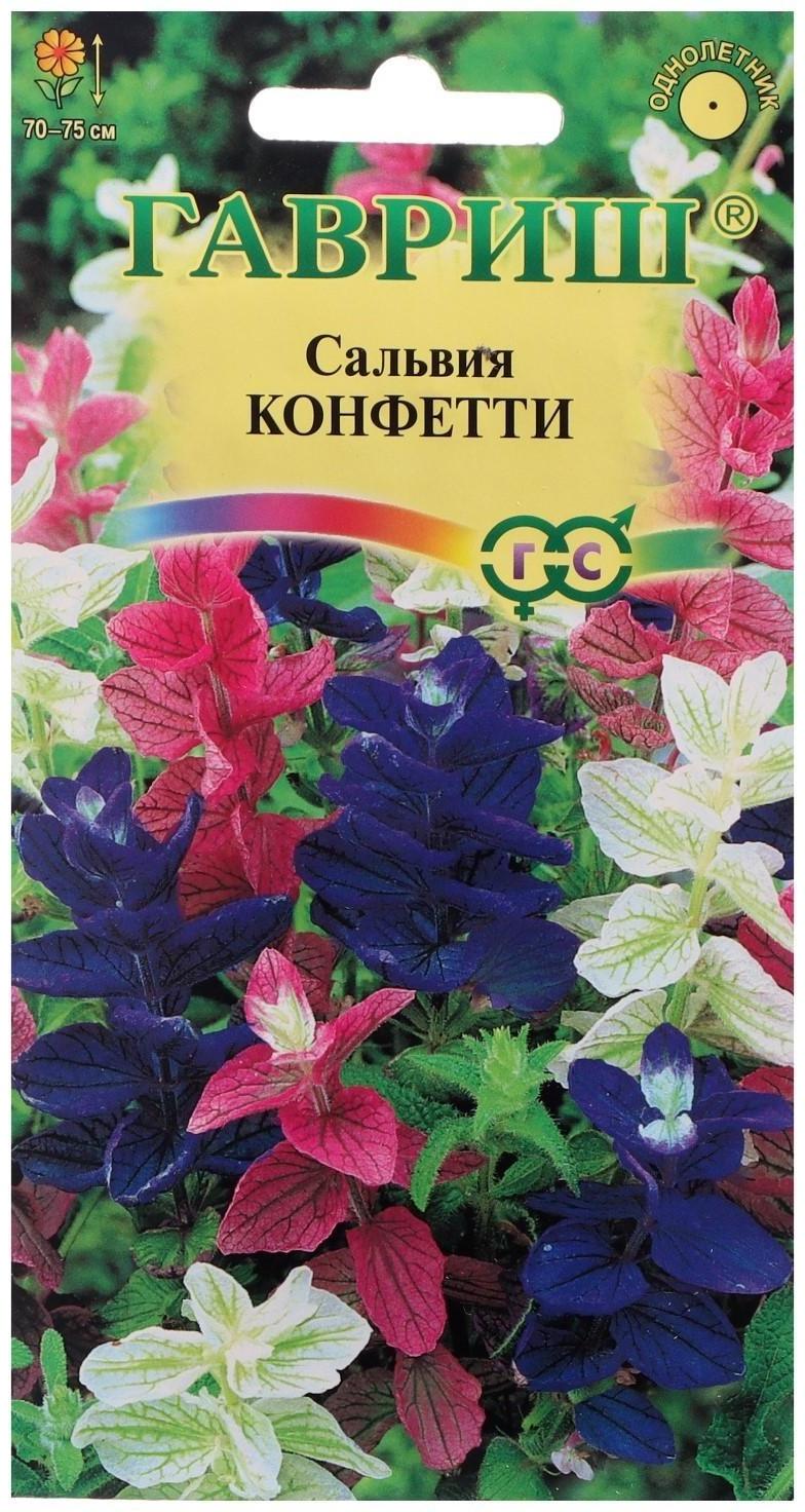 Семена цветов Сальвия 