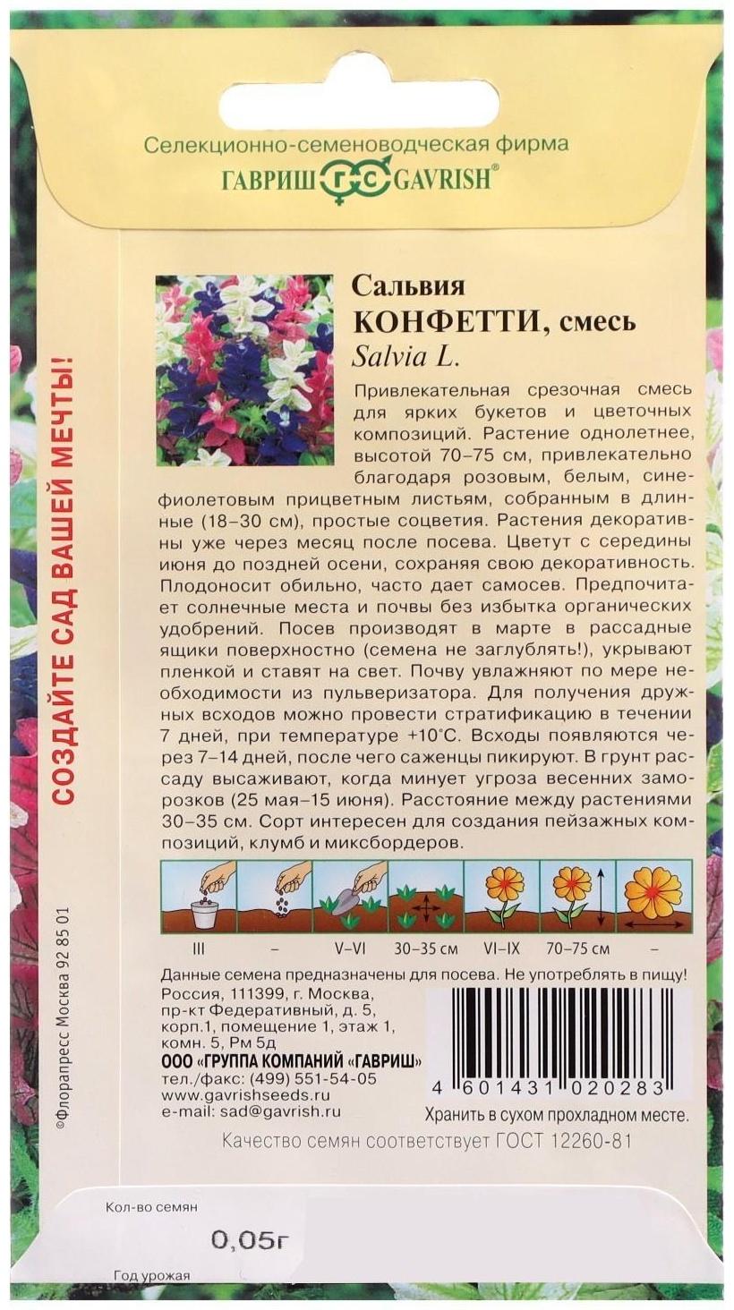 Семена цветов Сальвия 