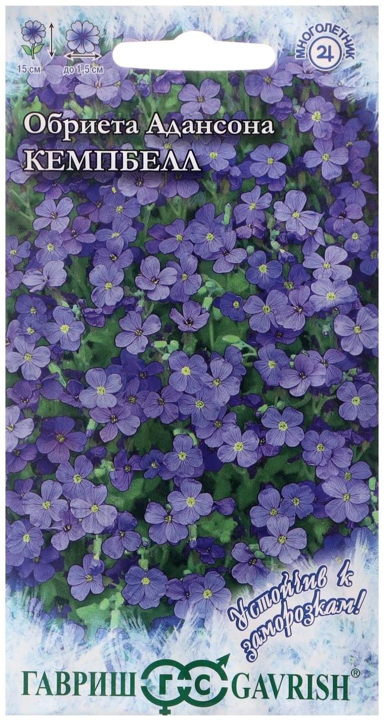 Семена цветов Обриета 