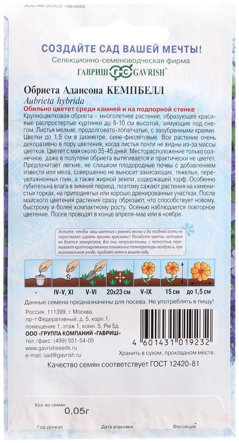 Семена цветов Обриета 