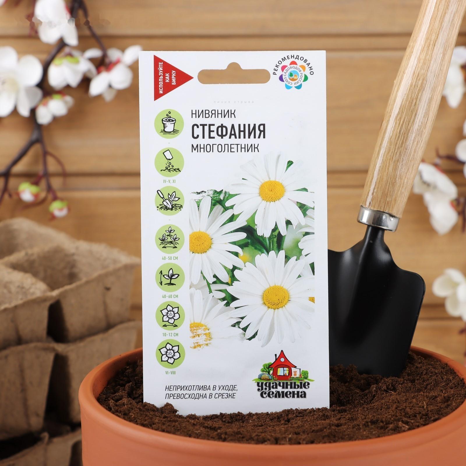 Семена цветов Ромашка 