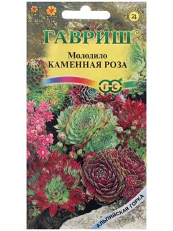 Семена цветов Молодило 